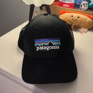 Patagonia P-6 Logo Trucker Hat